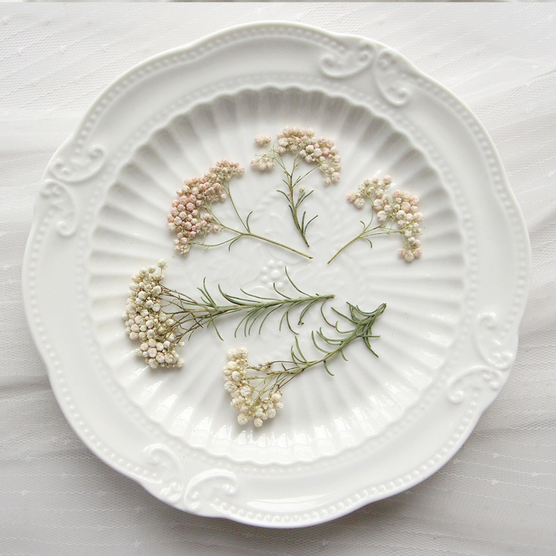 Dried Flower Bookmark - 12pcs, Nature Millet Flower Branches, Pressed