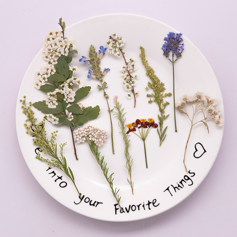 Dried Flower Bookmark - 500Pcs Large Package of Fern Pressed