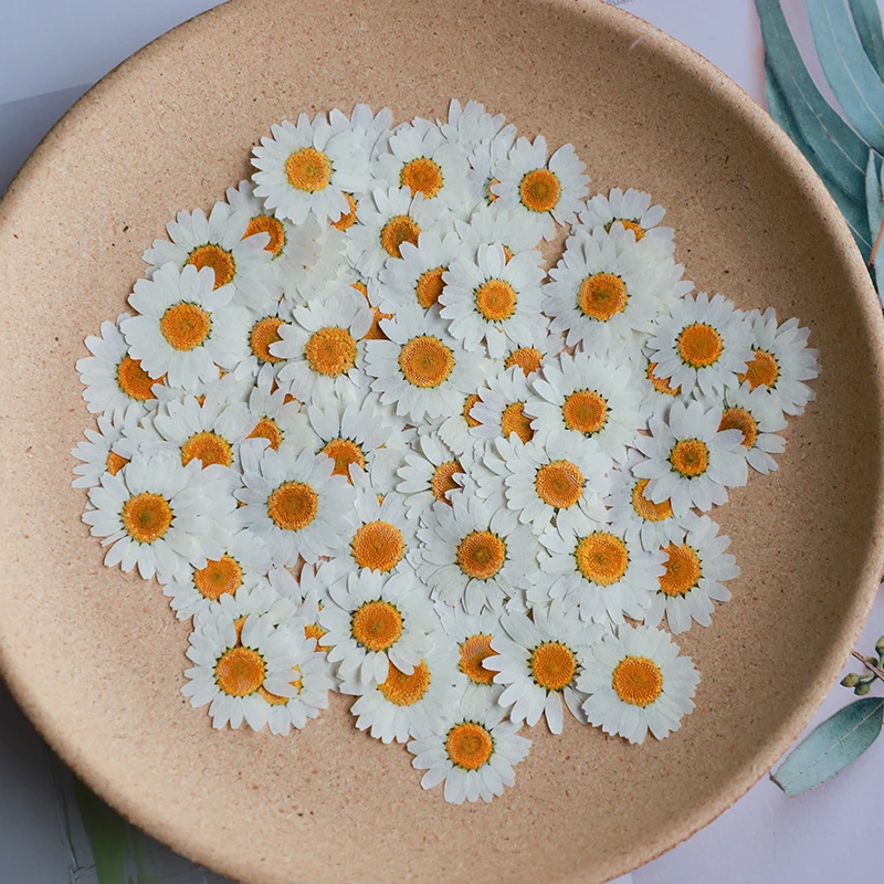 60X Pressed Dried Natural Whit - огляд і ціна Dried Flower Bookmark