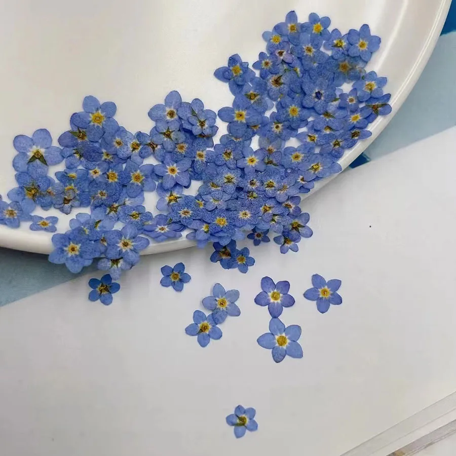 Natural Pressed Dried Blue For - огляд і ціна Dried Flower Bookmark