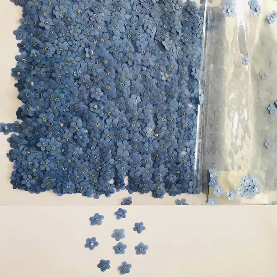 Natural Pressed Dried Blue For - огляд і ціна Dried Flower Bookmark
