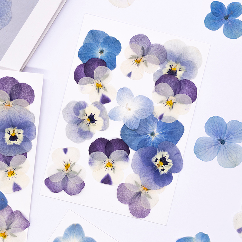 12pcs,Real Viola Cornuta Press - огляд і ціна Dried Flower Bookmark