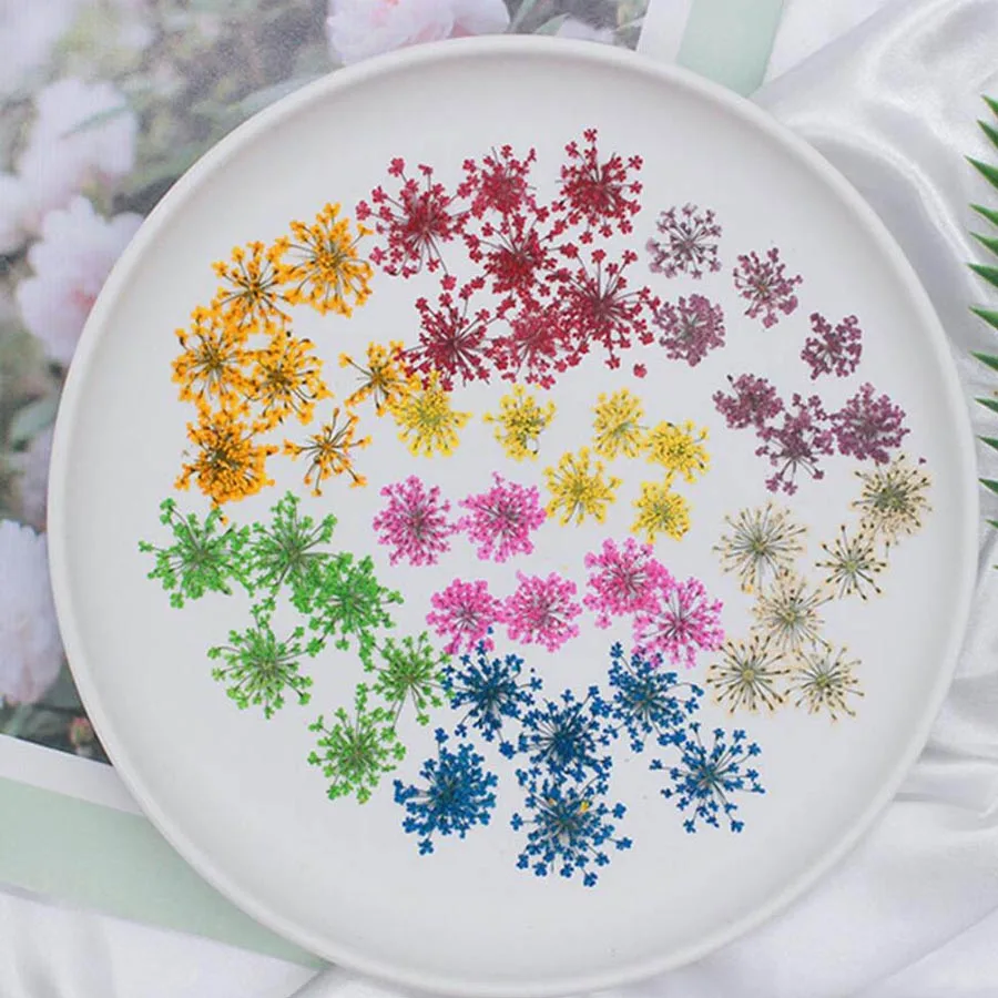 60pcs Pressed Dried 20-25mm Am - огляд і ціна Dried Flower Bookmark