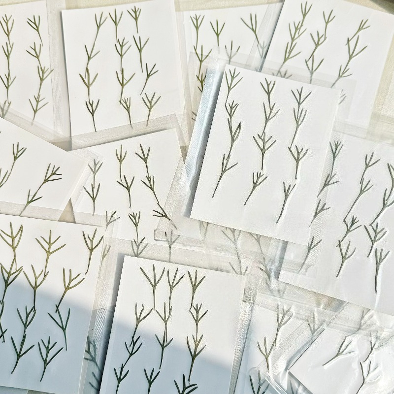 24pcs,Real Pressed Achillea Le - огляд і ціна Dried Flower Bookmark