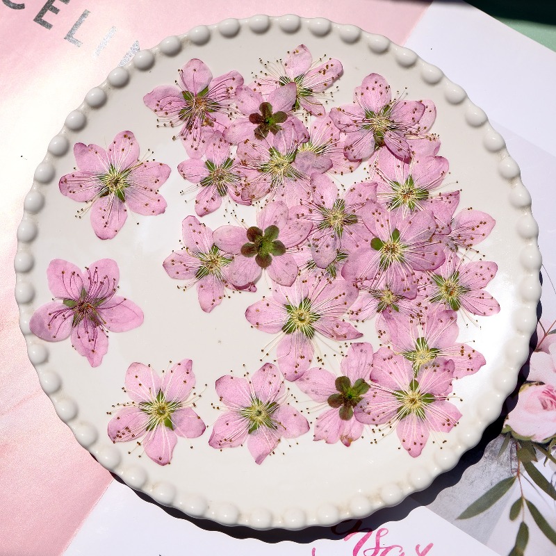 3-4cm./6pcs,Pink Peach Blossom - огляд і ціна Dried Flower Bookmark