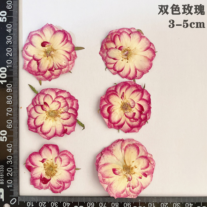 60pcs Pressed Dried Red Yellow - огляд і ціна Dried Flower Bookmark