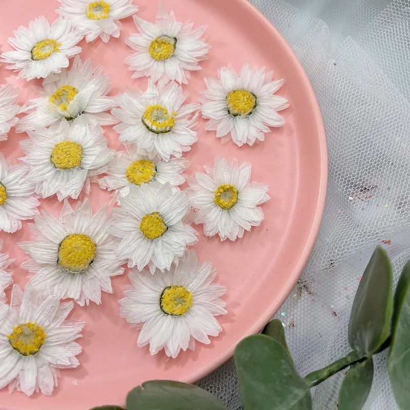 24pcs/2-4CM,Natural Pressed Fl - огляд і ціна Dried Flower Bookmark