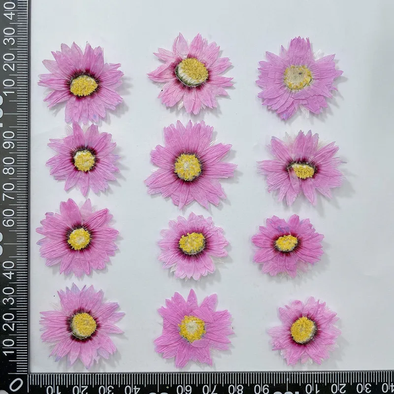 24pcs/2-4CM,Natural Pressed Fl - огляд і ціна Dried Flower Bookmark