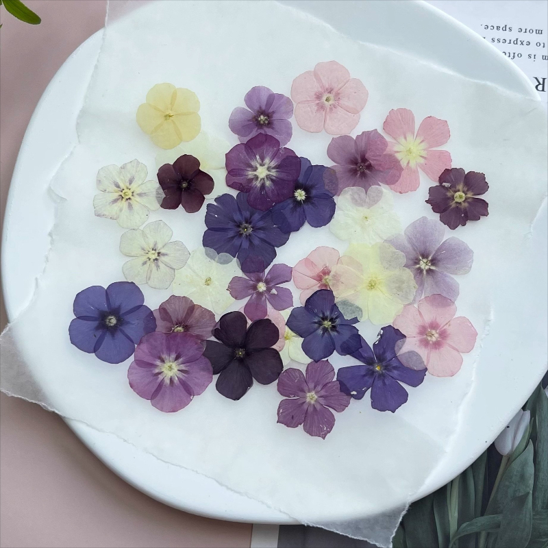 12pcs,Semi-Transparent Niche P - огляд і ціна Dried Flower Bookmark